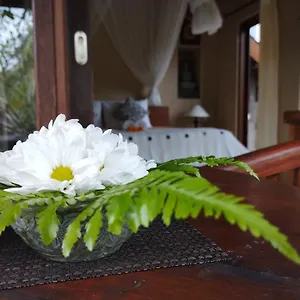  Bed & Breakfast Umah